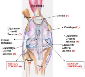 Signos y síntomas de lesiones de menisco