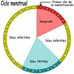hambruna sensación Patria Calcula el momento ideal para buscar el embarazo. - El blog de Ch Salud